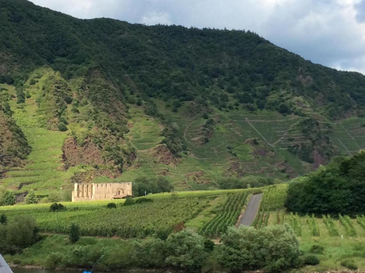 Ferienhaus Mosel 2.0 布雷姆 外观 照片